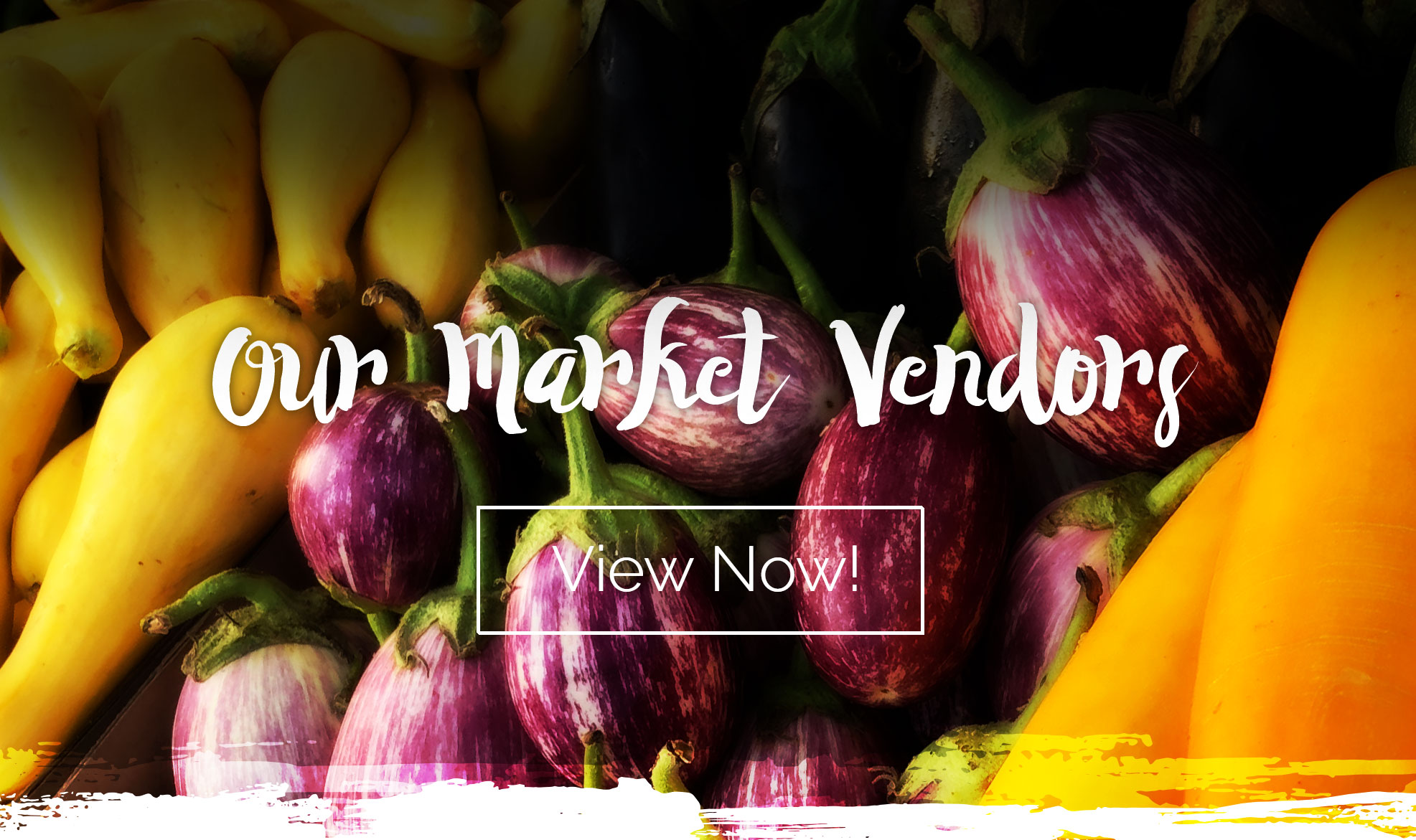 Our Market Vendors
