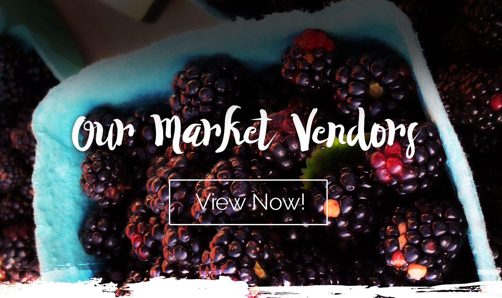 Our Market Vendors